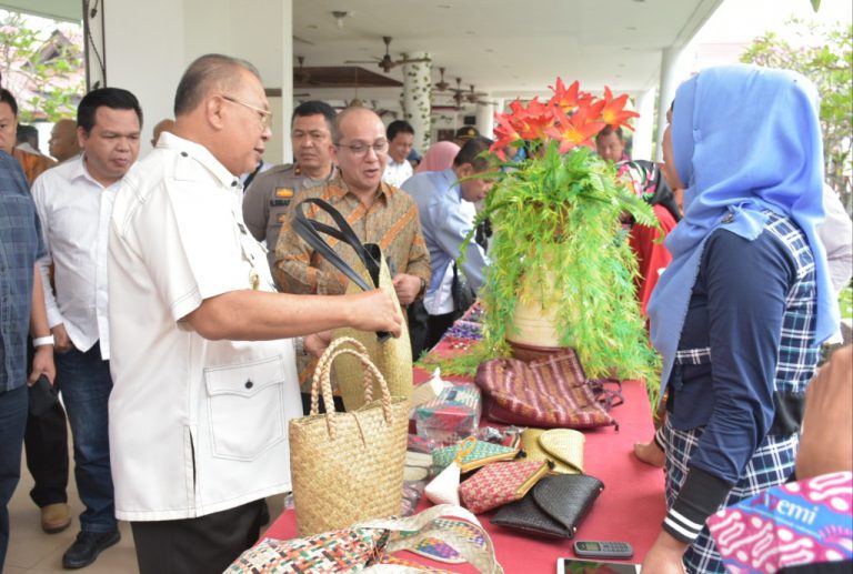 Tingkatkan Minat Investor, Pemkab Sergai Gelar Temu Usaha Investasi